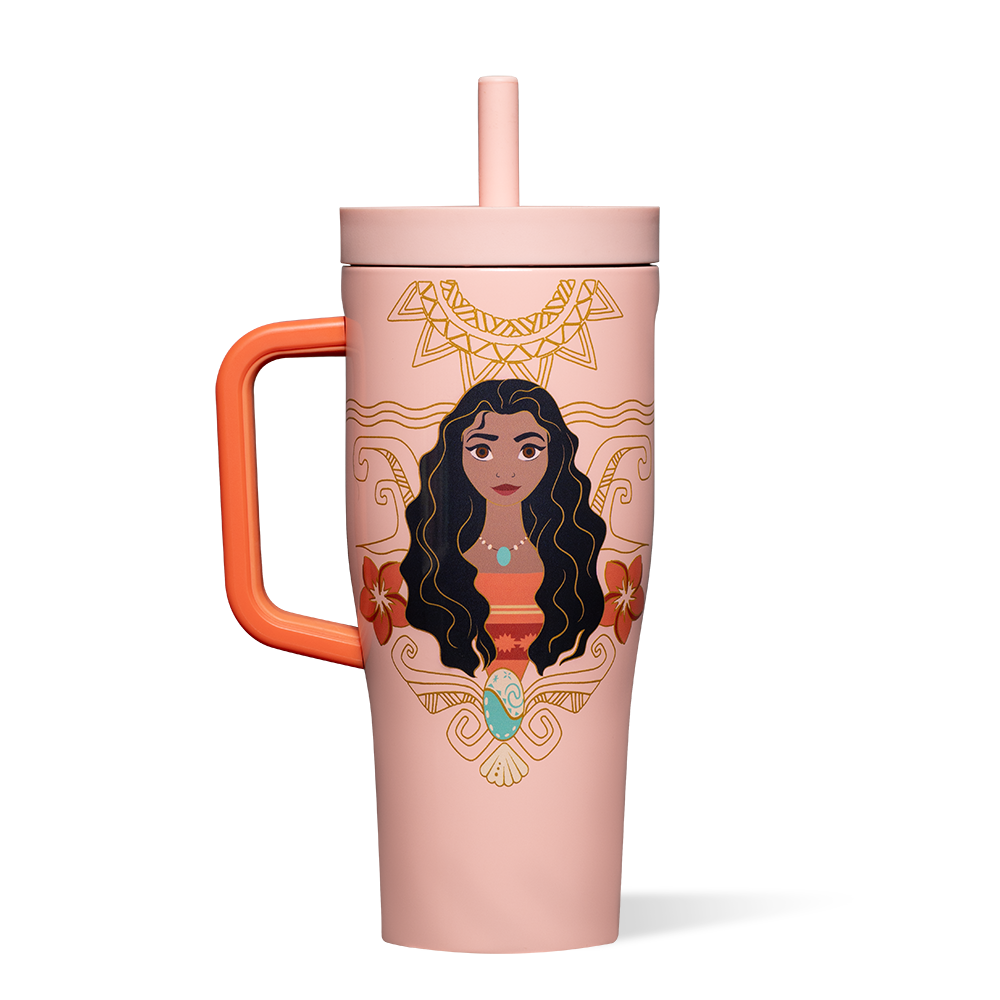 disney-princess-leakproof-cruiser-a8 DIS2222DP-M-01.png