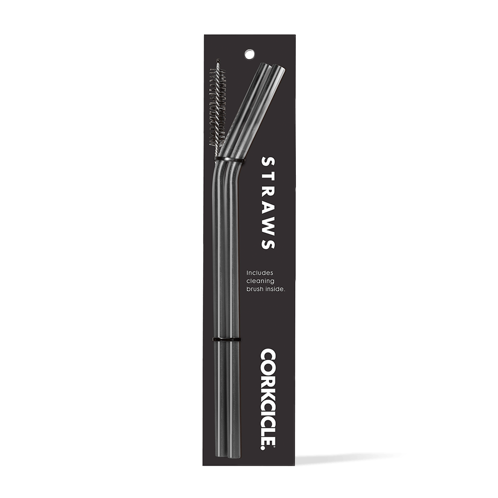 tumbler-straw-2-pack-b8 gunmetal.png